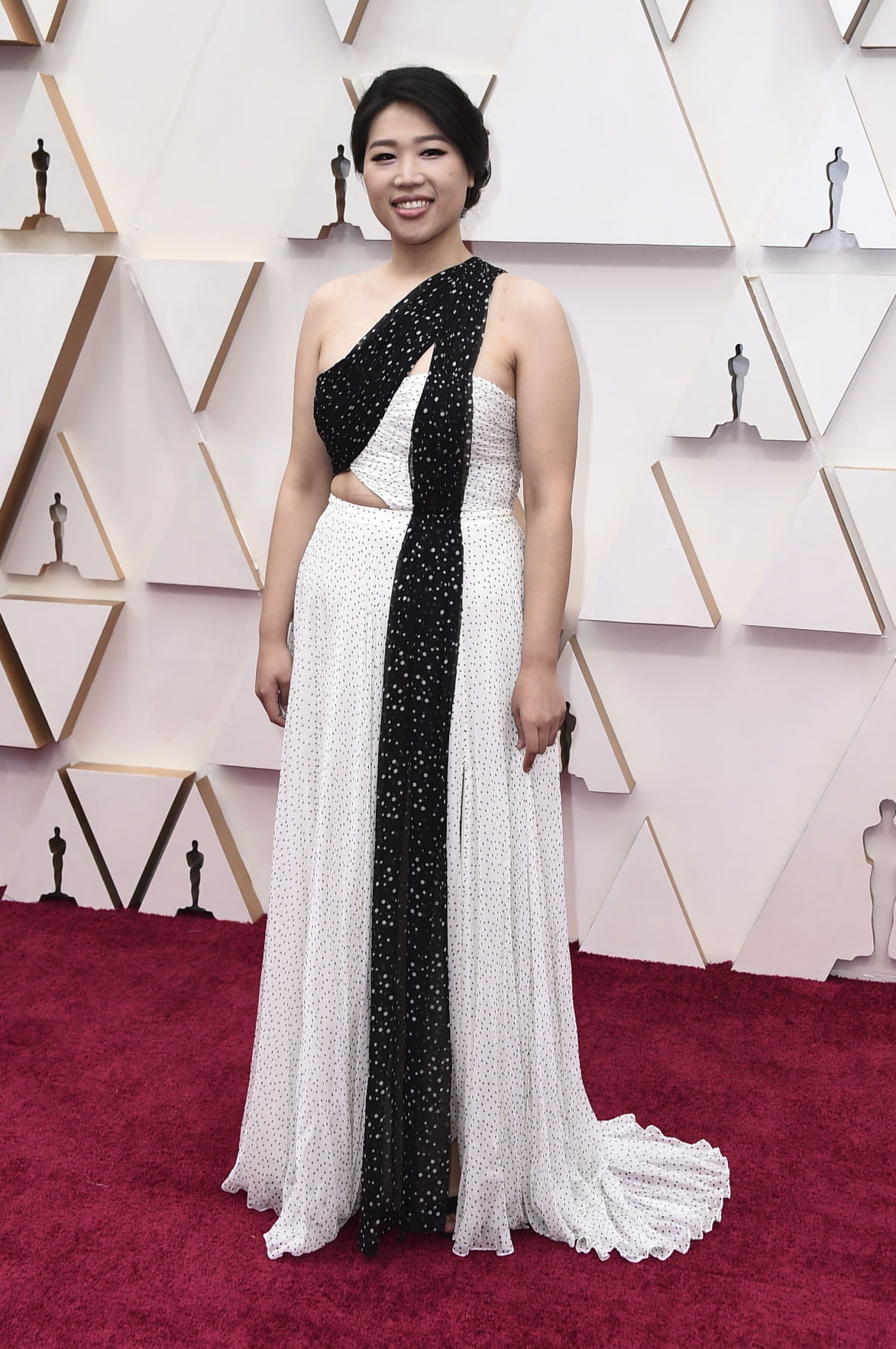 92nd Academy Awards - Arrivals